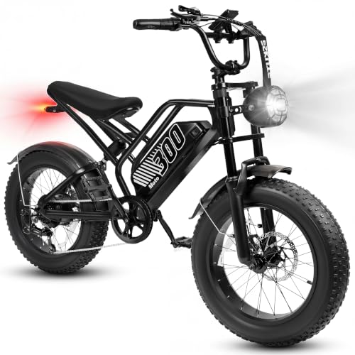 ESKUTE Electric Bike for Adult, 48V 20.8/41.6Ah Battery, 1500W Motor E-Bike with 20"×4" Fat Tire, Off-Road Ebike Up to 30+MPH, 7-Speed Beach Snow Trail Mountain Commuter for Beginner Cyclist
